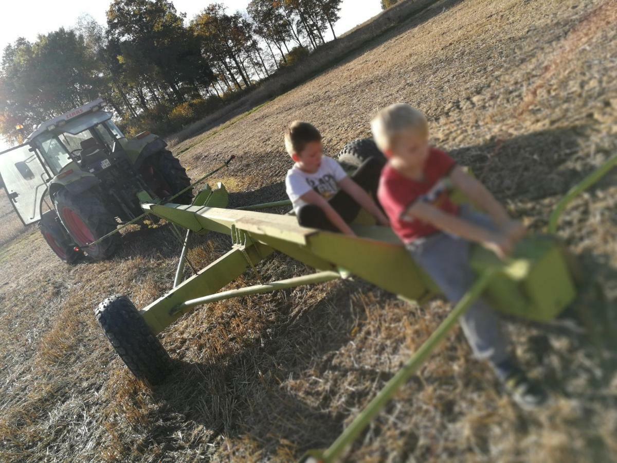 Agroturystyka U Swiatkow Stara Kamienica Kültér fotó